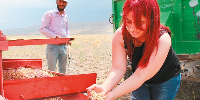 Bakliyatta aracı sorununa karşı vergi sıfıra indirildi