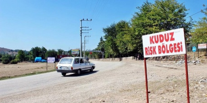 Kuduzla mücadeleye uçaklar da katılacak