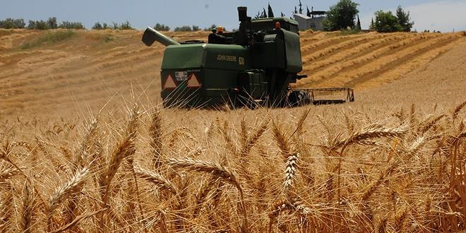 TARSİM üreticinin 'kara gün dostu' oldu
