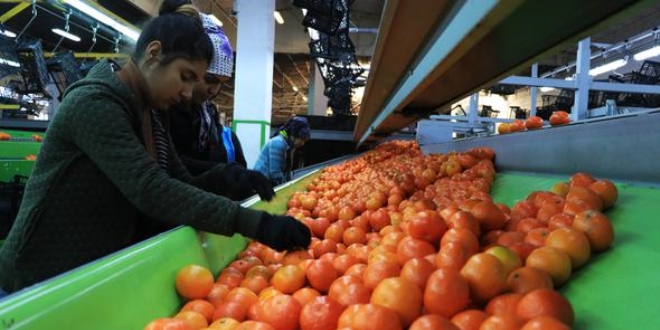 Adana'da ucuz İstanbul'da pahalı