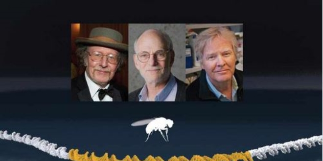 2017 Nobel ödülleri sahiplerine verildi