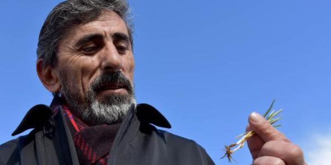 Kar gecikti, çiftçiyi 'zirai don' korkusu sardı