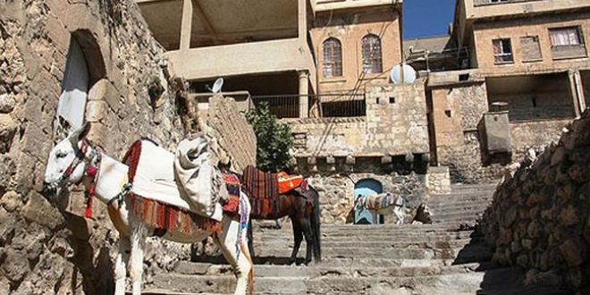 Kadrolu 3 eşek törenle emekli edildi