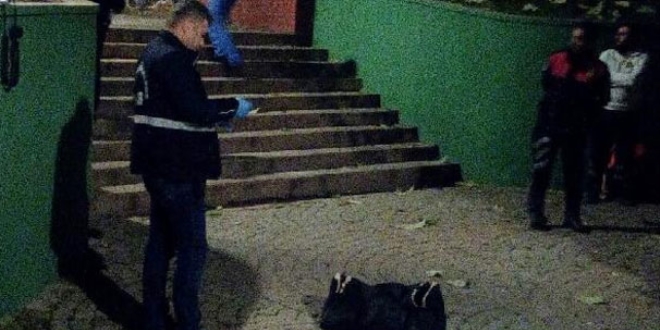 Parka bırakılan bebeğin ölümünü özel ekip çözecek