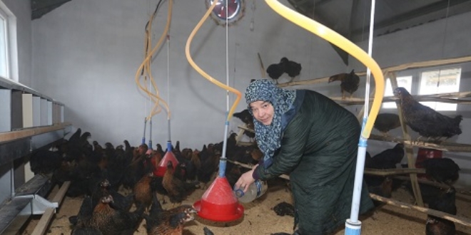 Hayalini kurduğu işe 71 yaşında kavuştu