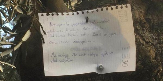 Bursa'da zeytin ağacına asılan not duygulandırdı