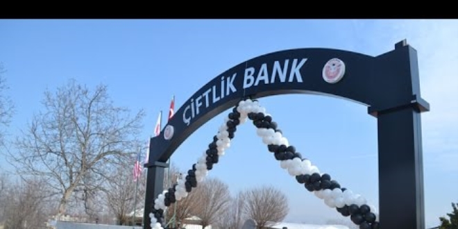 Çiftlik Bank sahibi paraları Kıbrıs'a kaçırmış