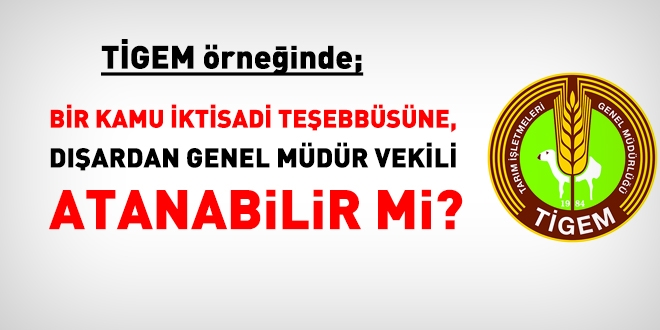 TİGEM örneğinde; Genel Müdür Vekili ataması nasıl yapılmalı?