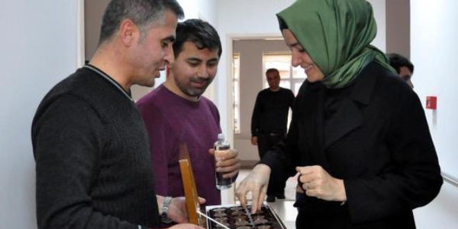 Aile ve Sosyal Politikalar Bakanı Kaya, Bitlis'te