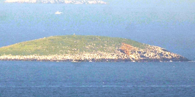 Kardak kayalıklarında güvenlik önlemleri artırıldı