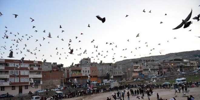Şanlıurfa semasına 'güvercin döküldü'
