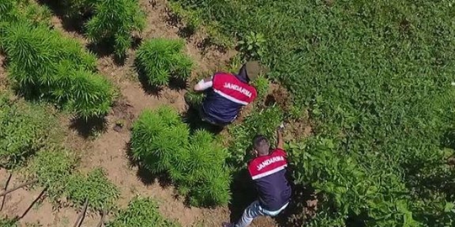 Jandarmadan 2017'de uyuşturucu satıcılarına darbe