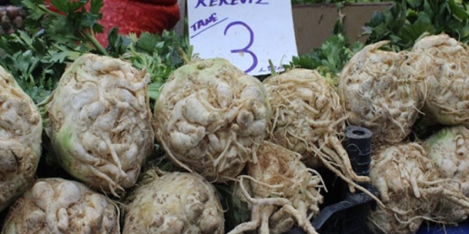 Kereviz tarlada kaldı