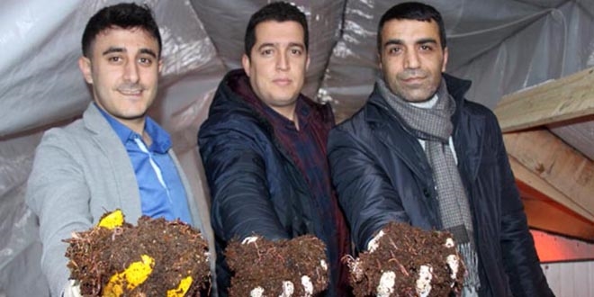 İnternette görüp başladılar, ayda 15 bin lira kazanıyorlar