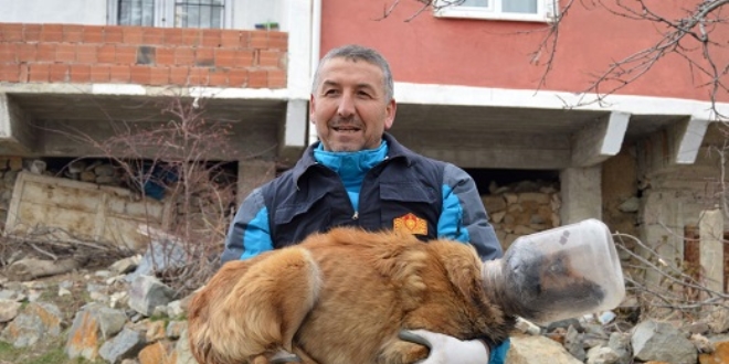 Kafası bidona sıkışan köpek için seferber oldular