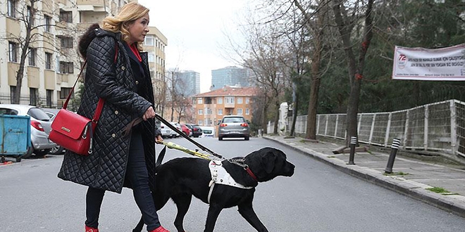 Görme engellilere sevimli 'yol arkadaşları'