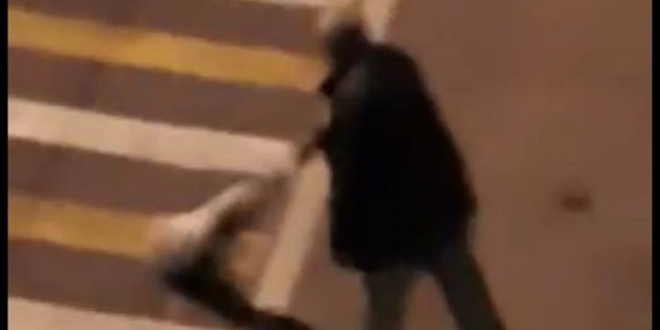 Giresun'da köpeği otoyola atan şüpheli yakalandı