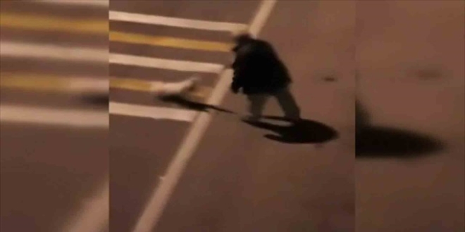 Köpeği otoyola attığı önü sürülen şüpheli tutuklandı