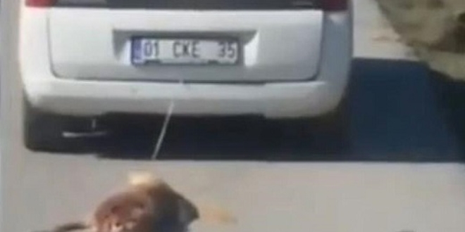 Telef olan köpeğini aracıyla sürükleyen kişiye para cezası