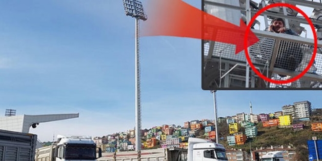 Ehliyetini kaptırmamak için aydınlatma direğine tırmandı