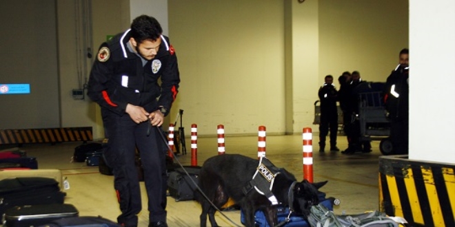 Emniyetin 'dedektör köpek'leri eğitimde
