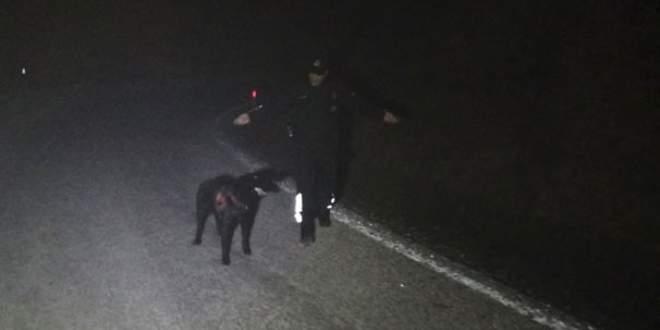 'Görcü' katliamcısı için köpekli arama başlatıldı