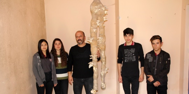 İstiridye mantarını kadın çorabında 1 haftada üretmeyi başardı
