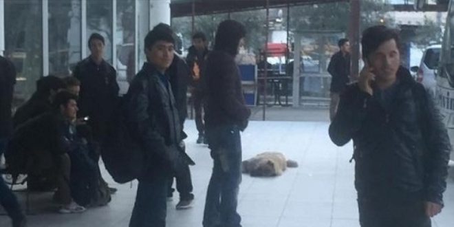 İstanbul diye Artvin'e getirdiler