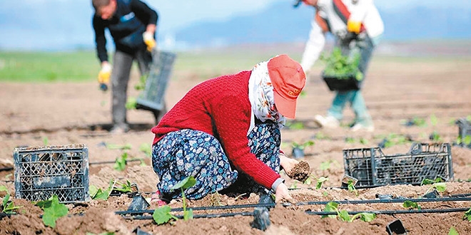 Çiftçinin mazot desteği arttı gübre sabit kaldı