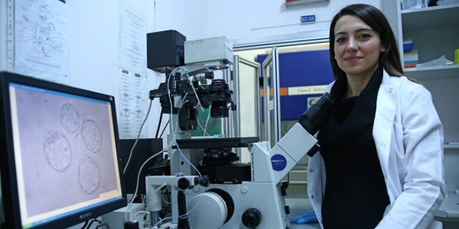 Türk akademisyenin çalışmaları 'Çığır açan 10 çalışma' arasına girdi