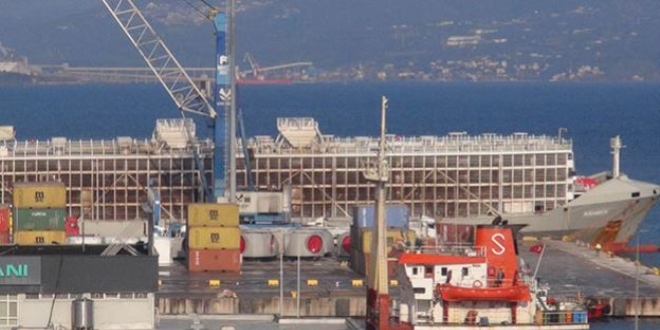 Türkiye'nin ithal ettiği sığırlar geldi
