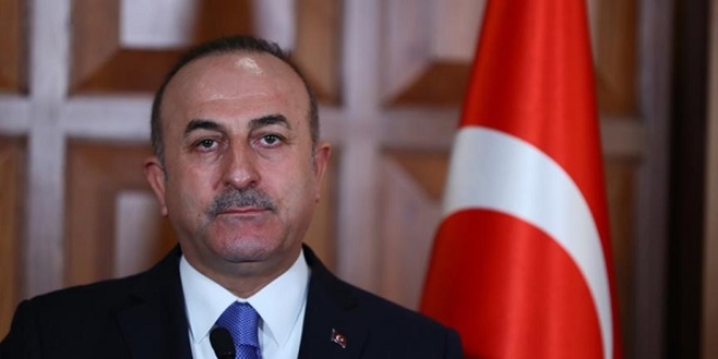 Çavuşoğlu: Zeytin Dalı Harekatı barışa giden yolu açmayı amaçlıyor