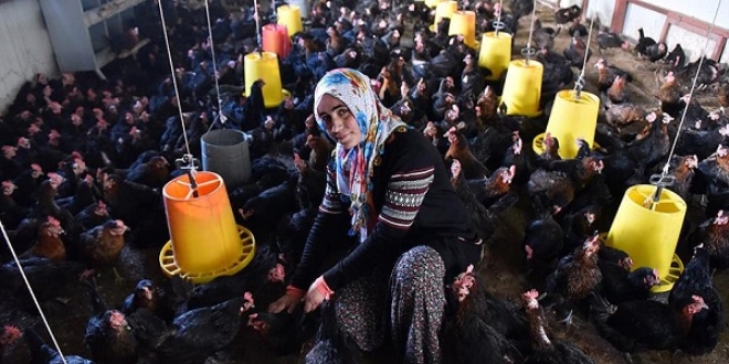Şehir hayatından sıkıldı, köyüne dönüp girişimci oldu