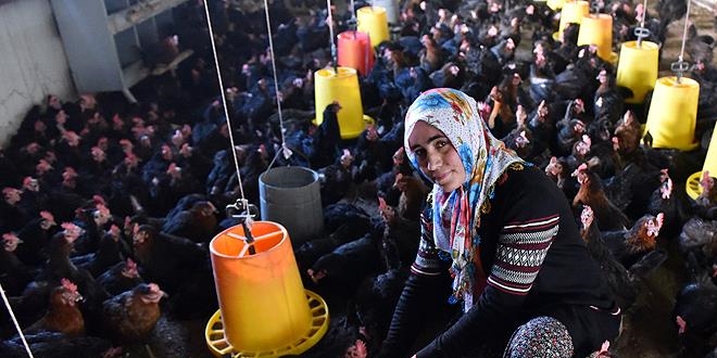 Şehir hayatından sıkıldı, köyüne dönüp girişimci oldu