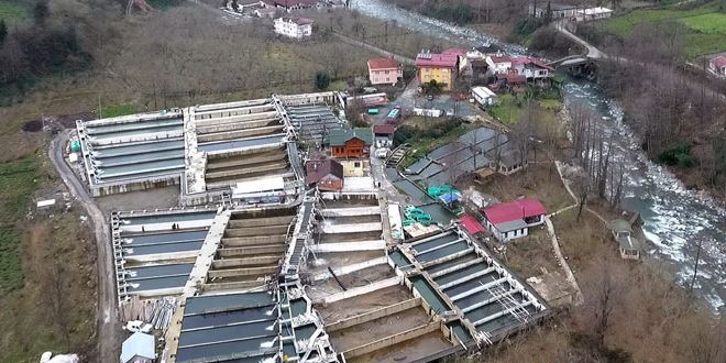 Köyündeki çiftlikten Japonya'ya somon ihraç ediyor