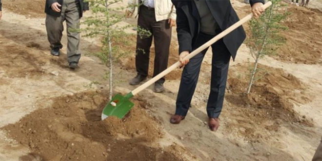 23 milyon mektup kampanyası doğru bir iş mi?