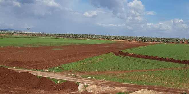 Afrin'de Suriyeliler kylerine dnmeye balad