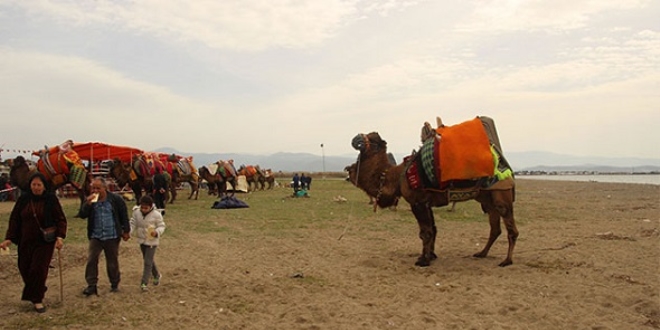 Balkesir'de develer plajda greti