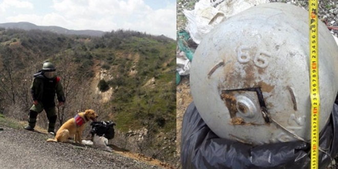 Bingöl'de yola tuzaklanan 30 kilo patlayıcı imha edildi