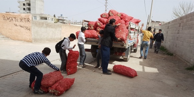 7 ton sarımsağı bedava dağıttı