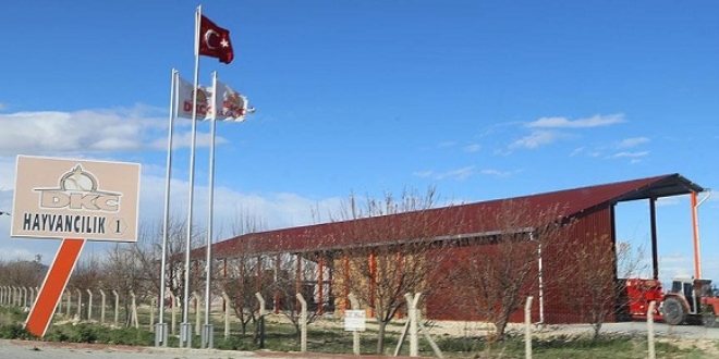 Konya'da 'sütbank' soruşturması başlatıldı
