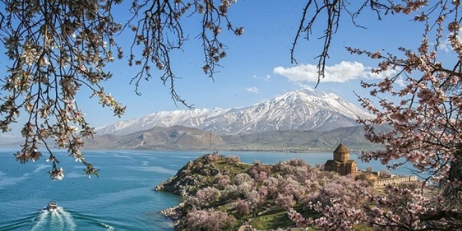 Çiçeklere bürünen Akdamar Adası'na ziyaretçi akını
