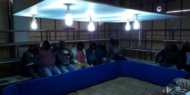 Horoz dövüşü için eve özel platform yaptırmışlar