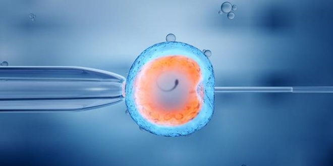 Tüp bebek merkezinde yaşanan krize soruşturma