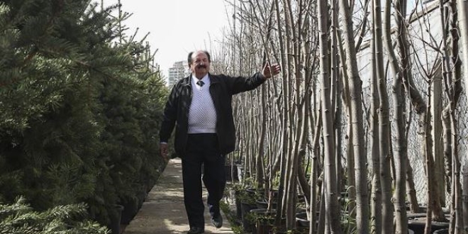 Orman aşkı 56 yıldır devam ediyor