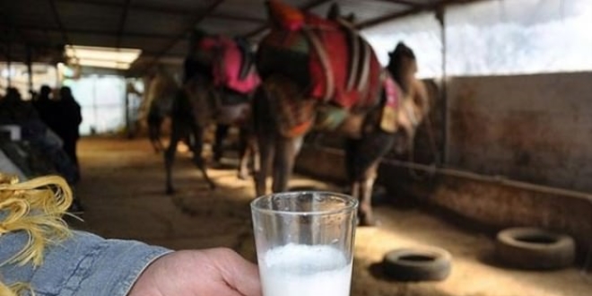 Deve sütüne talep artıyor