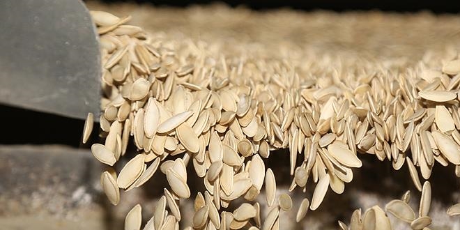 Nevşehir kabak çekirdeğine coğrafi işaret