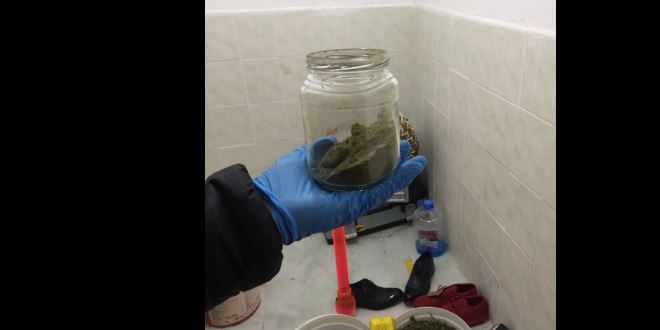 Başkentte köpek çiftliğine polis baskını
