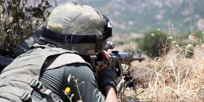 Mardin'de 2 terörist teslim oldu
