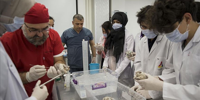 Lise öğrencilerine 'plastinasyon' eğitimi